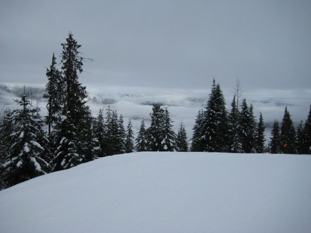 Resized IMG_2207.jpg