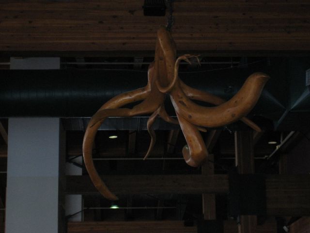 Resized IMG_2271.jpg