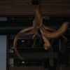 Resized IMG_2271.jpg