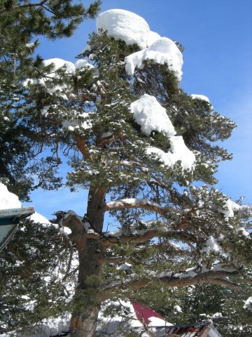 DSCN2563.JPG