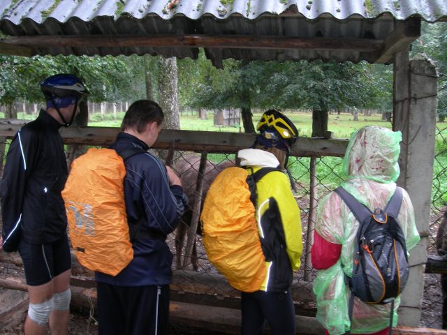 DSCN3458.JPG