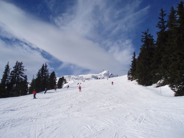 P1190486.JPG