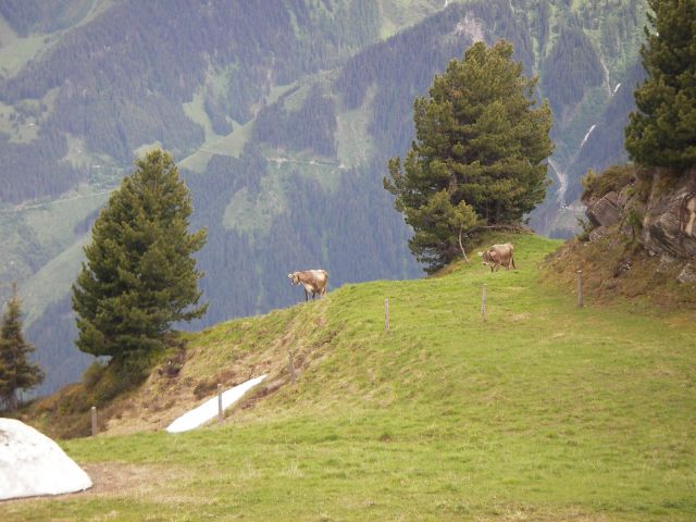 IMGP1546.JPG