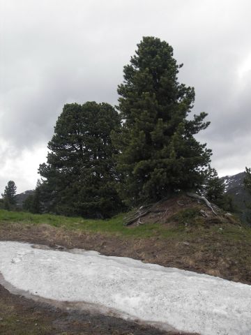 IMGP1544.jpg