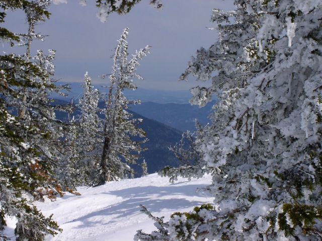 P4010064.jpg