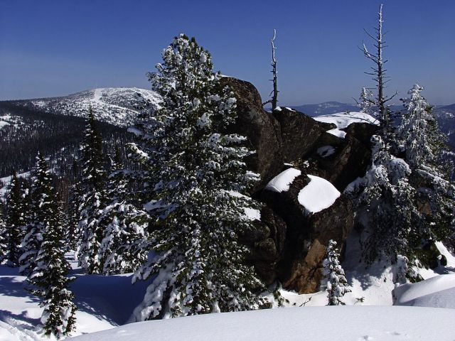 P3221041.jpg