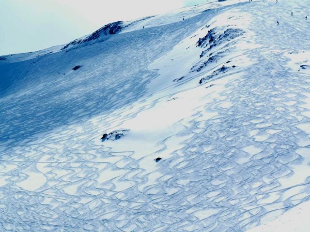 PICT0984.JPG