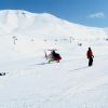 PICT0990.JPG