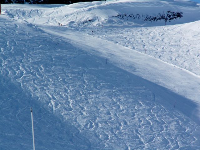 PICT0725.JPG