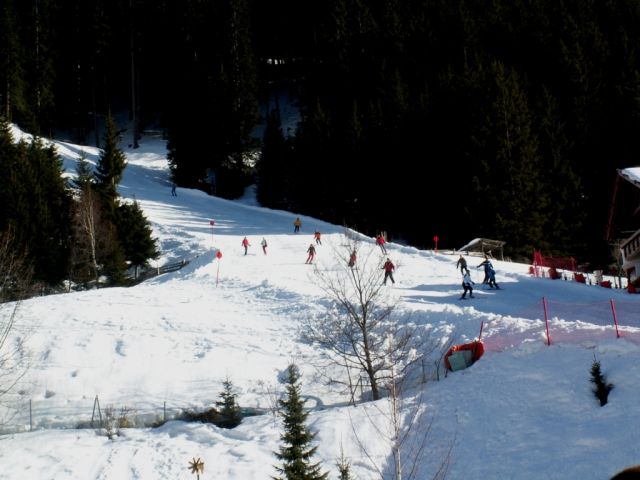 PICT0698.JPG