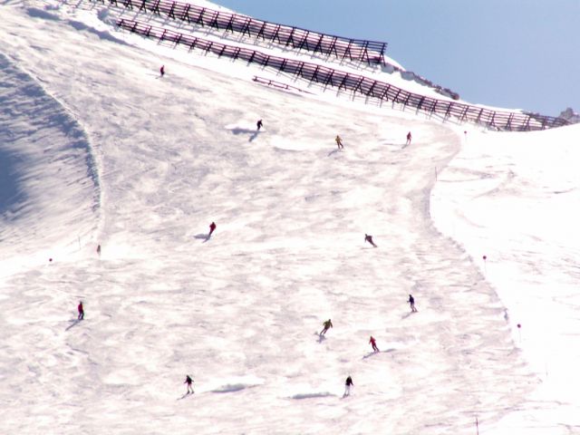 PICT0490.JPG