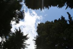img_5373.jpg