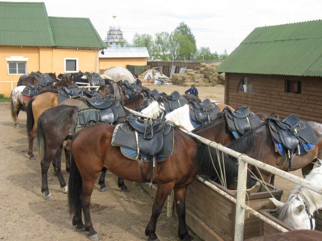Конный поход. май 045.jpg