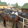 Конный поход. май 045.jpg