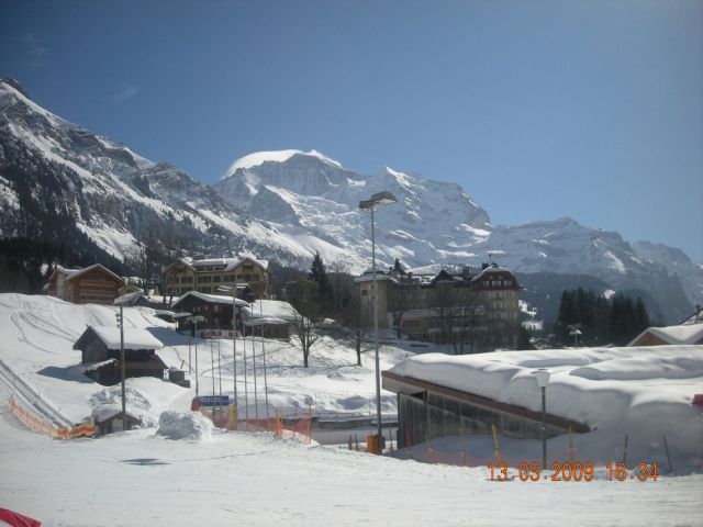 Picture 196.jpg