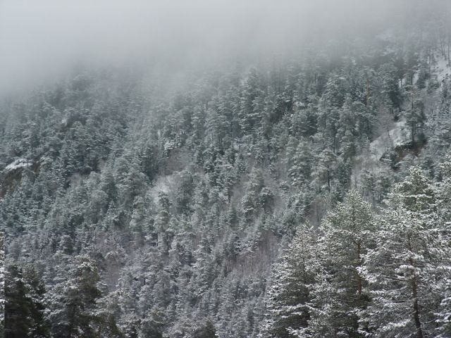 pcx_0086.jpg