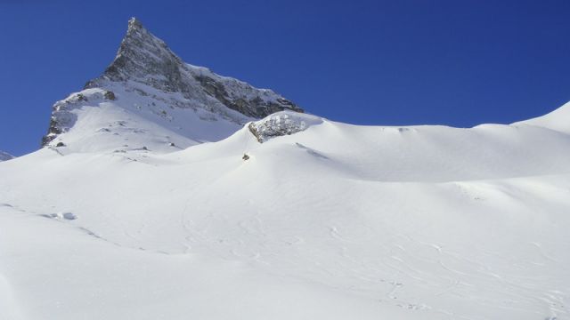 DSC00106_resize.JPG