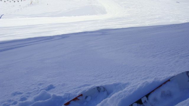 DSC00130_resize.JPG