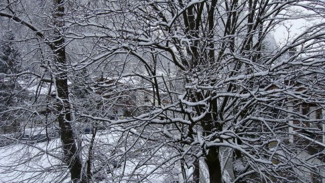 DSC00285_resize.JPG