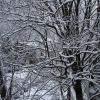 DSC00285_resize.JPG