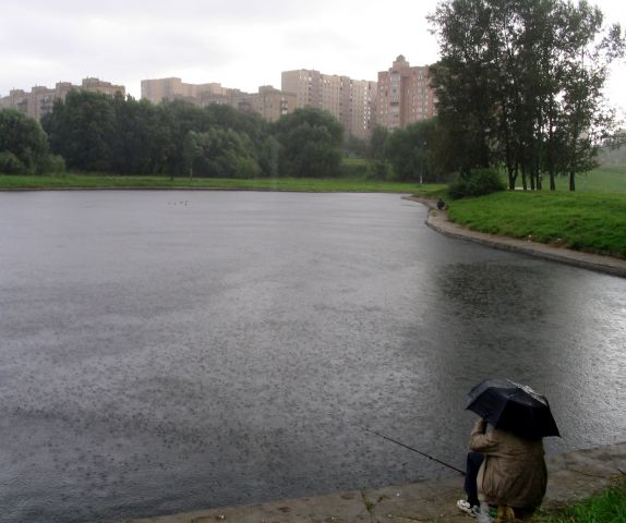 Picture_700_.jpg