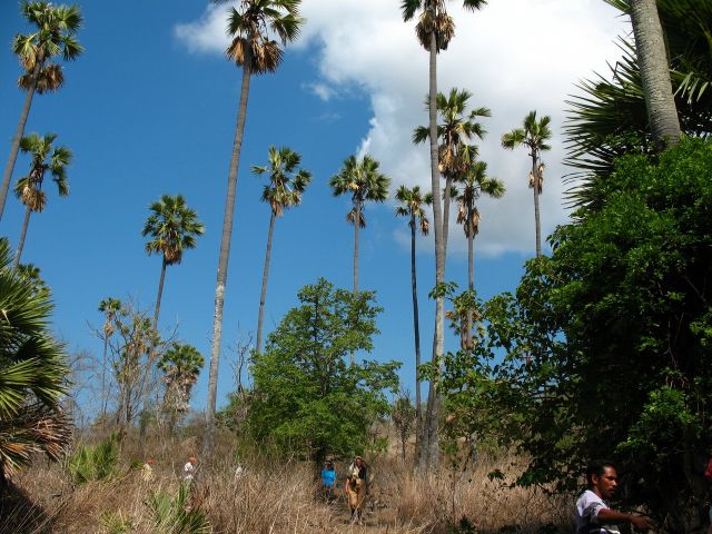 Picture_339.jpg