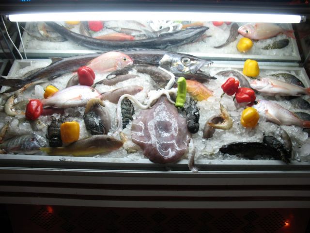 Picture_058.JPG