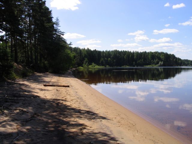 Picture_200_.JPG