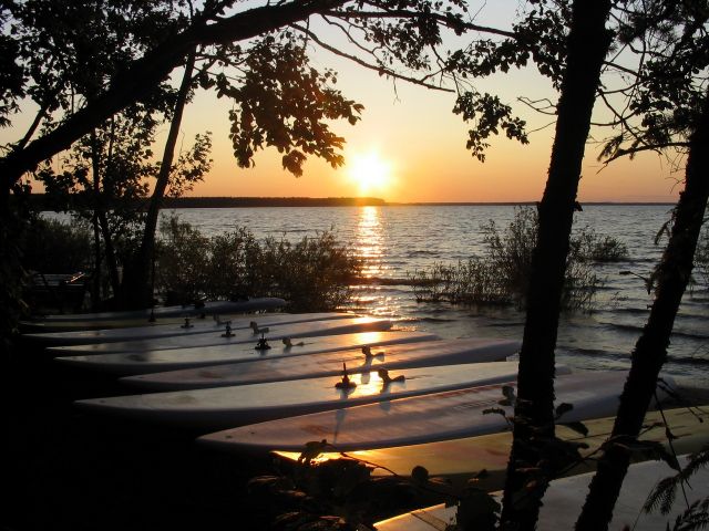 Picture_442.jpg