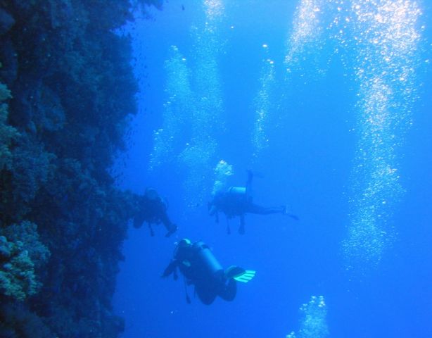 Picture_608.jpg