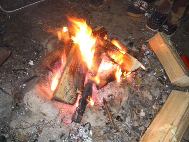 Picture_355.jpg