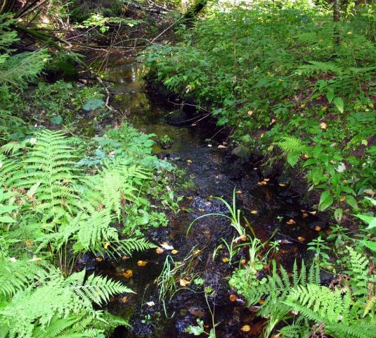 Picture_308.jpg