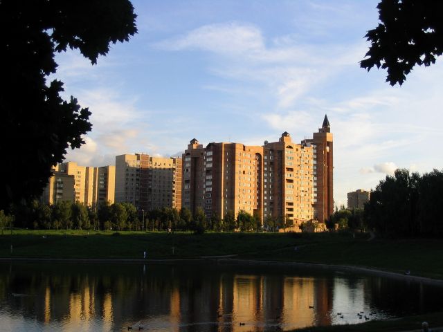 Picture_274.jpg