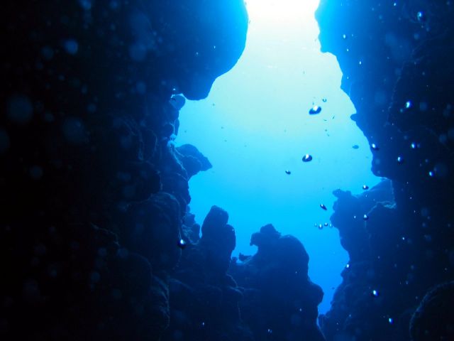 Picture_003.JPG