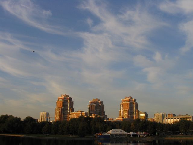 Picture_196.jpg