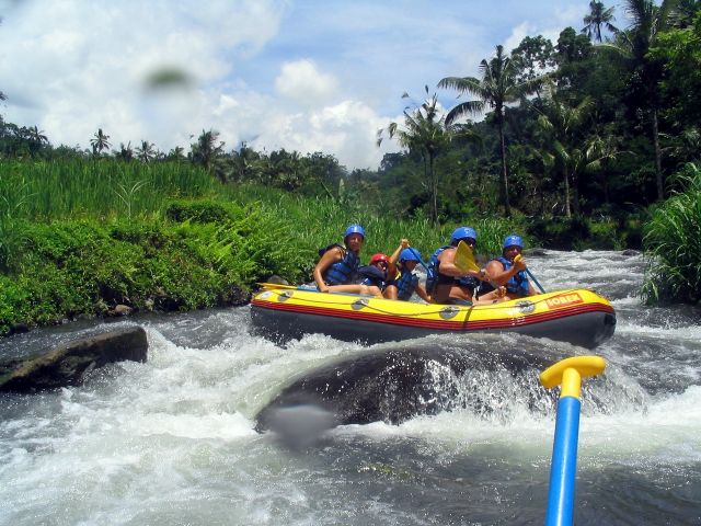 Picture_676_.jpg