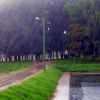 Picture_233_.jpg