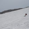 DSC_0250.JPG