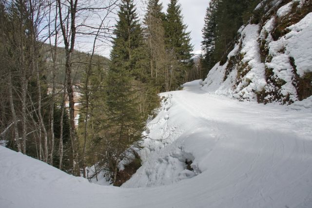 IMG_4545.jpg