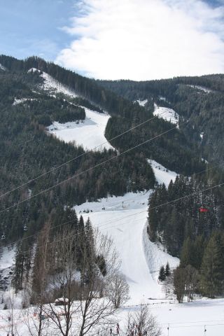 img_4462_r1.jpg