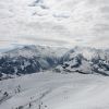 IMG_4503.jpg
