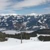 IMG_4505.jpg