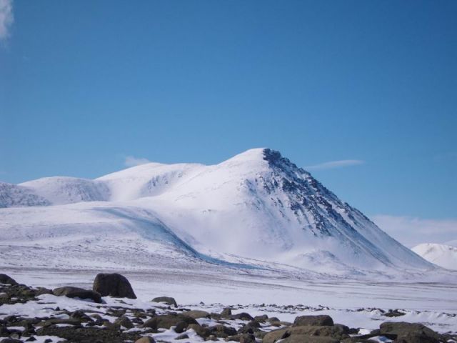 черная