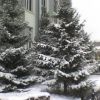 DSC00137.JPG
