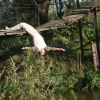 Обожаю, висеть вниз головой... 