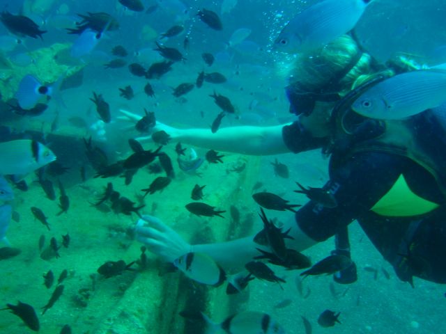 PA060895.JPG