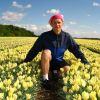 Tulips.jpg