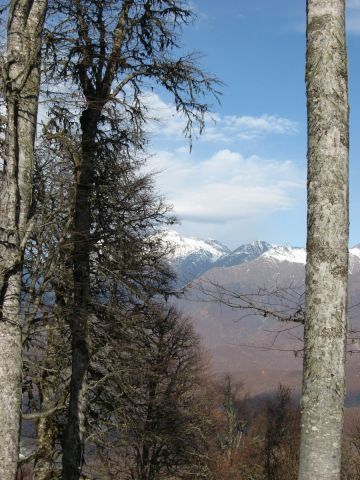 пейзаж 1