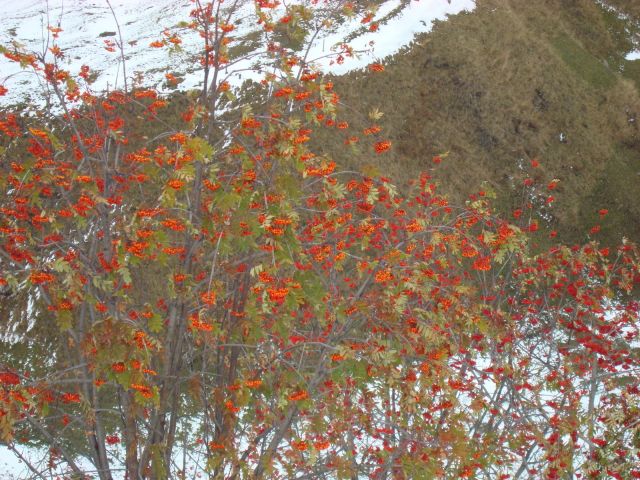DSC03319.JPG