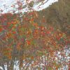DSC03319.JPG